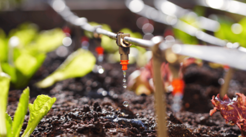 這張圖片的 alt 屬性值為空,它的檔案名稱為 3-1-1024x572.png