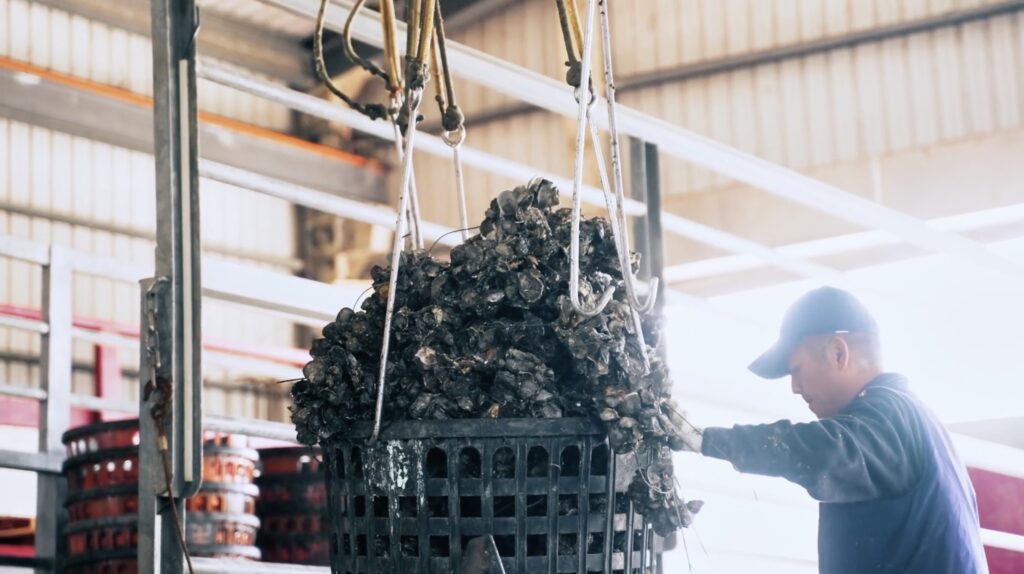 這張圖片的 alt 屬性值為空,它的檔案名稱為 esg.artshirt-3-1024x574.jpg