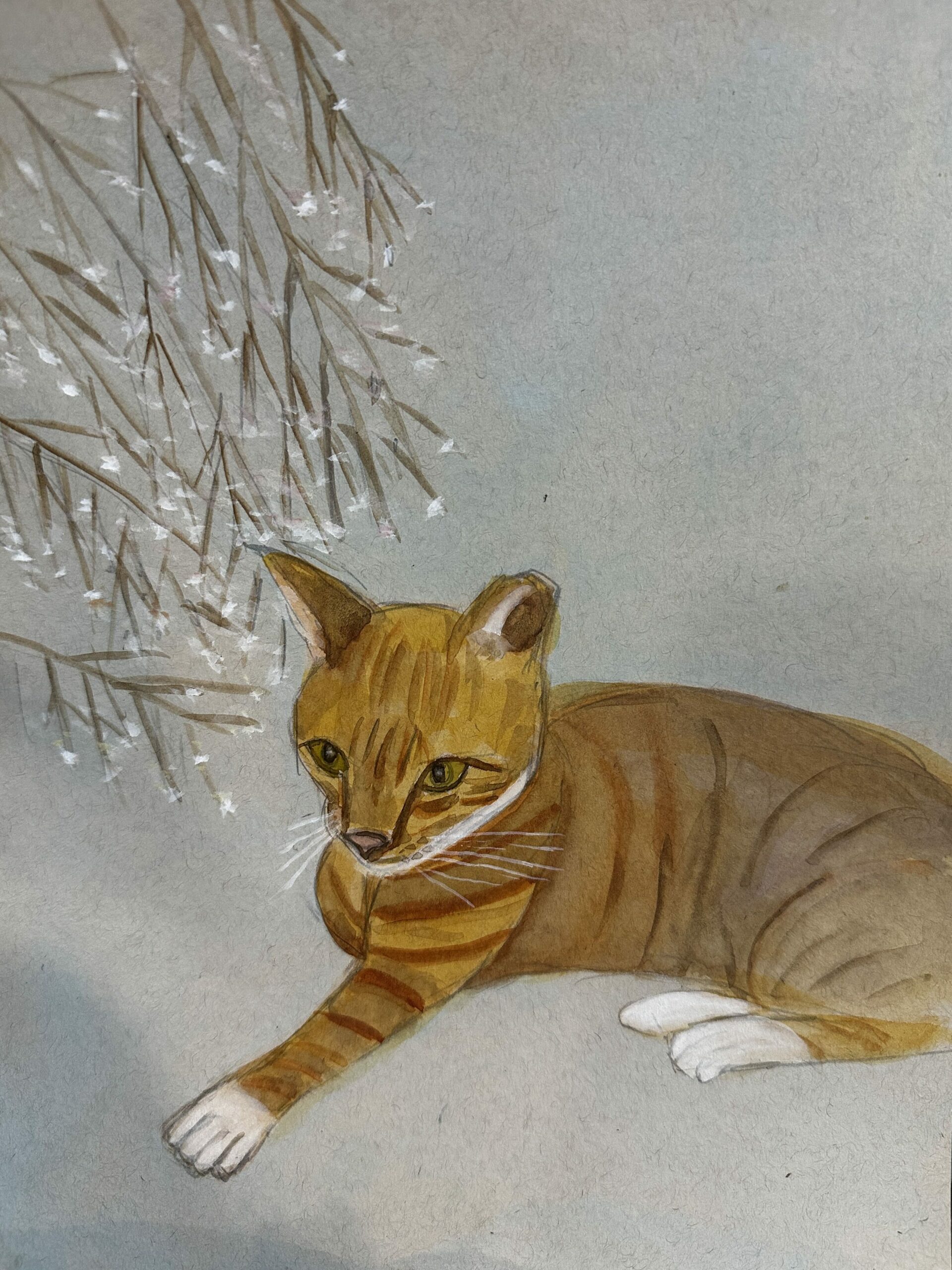 這張圖片的 alt 屬性值為空,它的檔案名稱為 %E5%B0%8F%E4%B9%96-1-edited-scaled.jpg